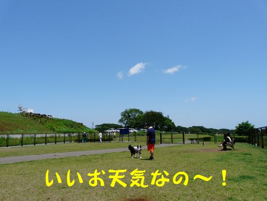 a0100564_21321629.jpg