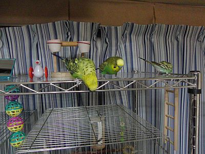 f0196665_018317.jpg