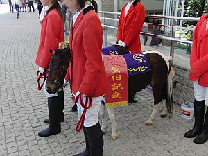 f0196665_23583653.jpg