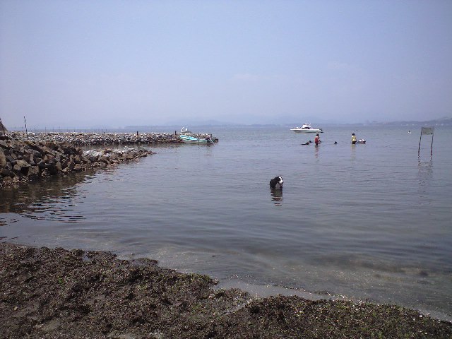 c0177668_20315116.jpg