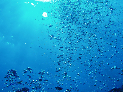 f0179575_1591953.jpg