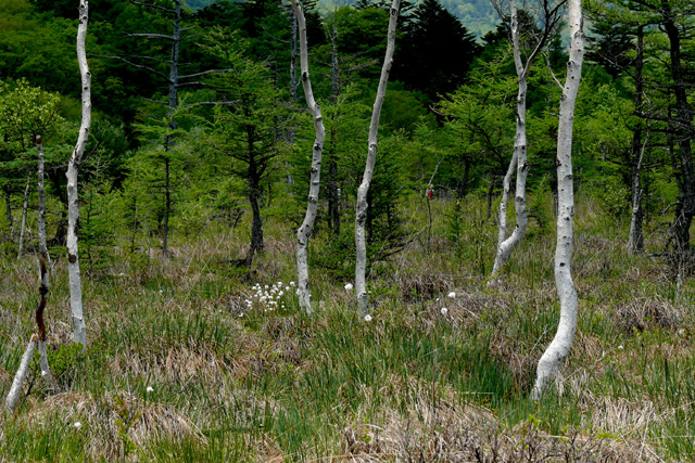 c0036878_21502284.jpg