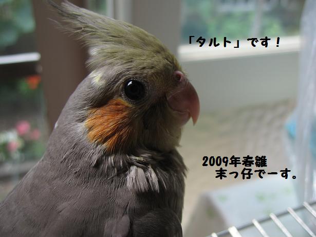 e0027078_11225645.jpg
