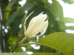 c0175883_14312566.jpg
