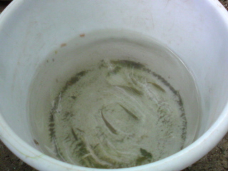 e0033384_12421958.jpg