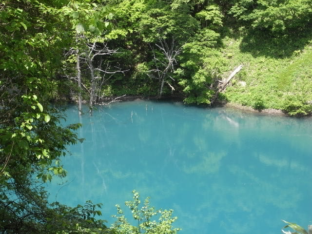 e0149585_19253344.jpg