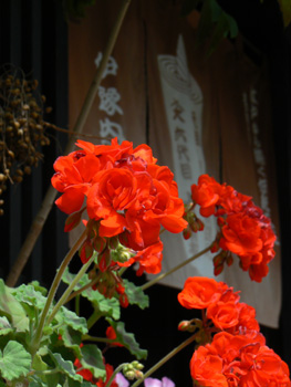 b0014587_17304641.jpg
