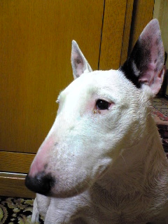 a0064089_23512498.jpg