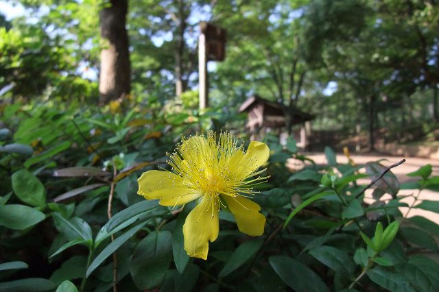 e0070891_1852036.jpg