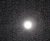 e0122194_8154479.jpg