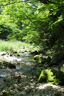 f0103797_2018689.jpg