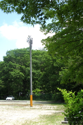 f0103797_20201325.jpg