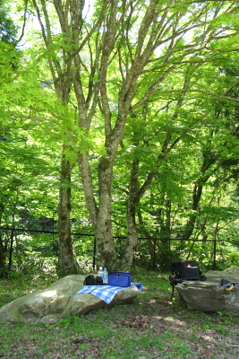 f0103797_2023157.jpg