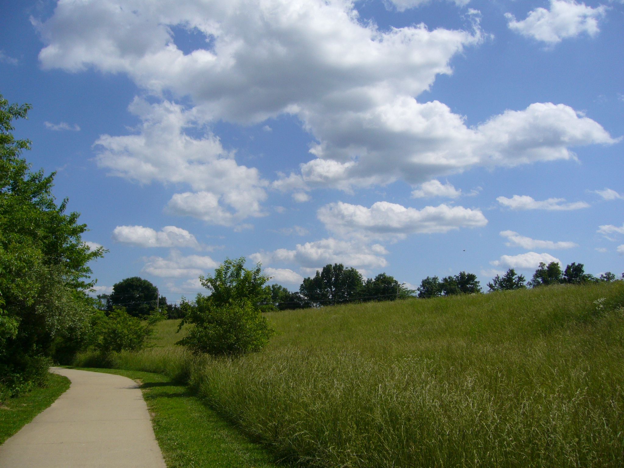 f0169397_535211.jpg