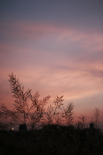 c0129498_22311799.jpg