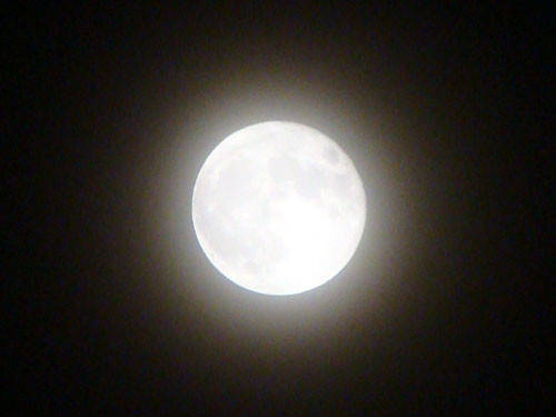 a0047200_2252915.jpg