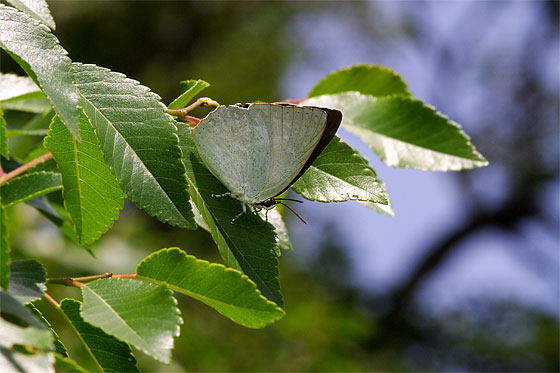 d0001300_2117430.jpg
