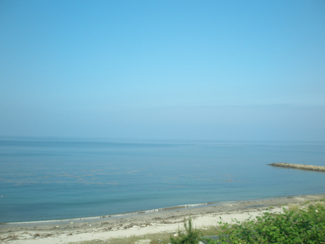d0151500_2120233.jpg