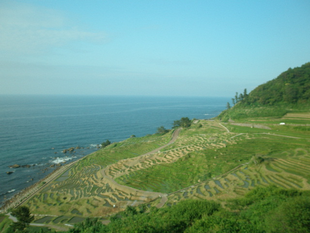 d0151500_21265444.jpg