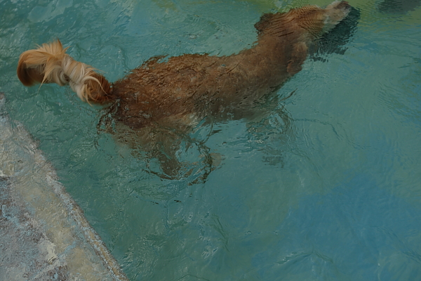 e0117503_20114031.jpg