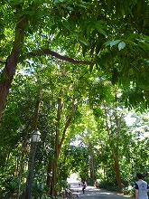 c0148705_11273871.jpg