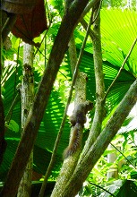 c0148705_11392832.jpg