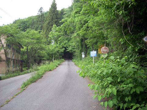 b0000209_6392368.jpg