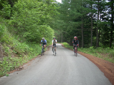 b0000209_6435574.jpg