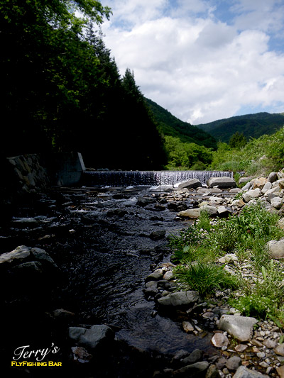 e0009009_22305544.jpg