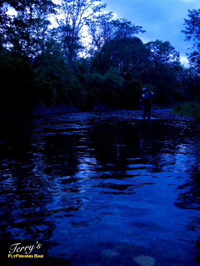 e0009009_22342134.jpg