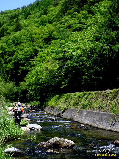 e0009009_2235227.jpg