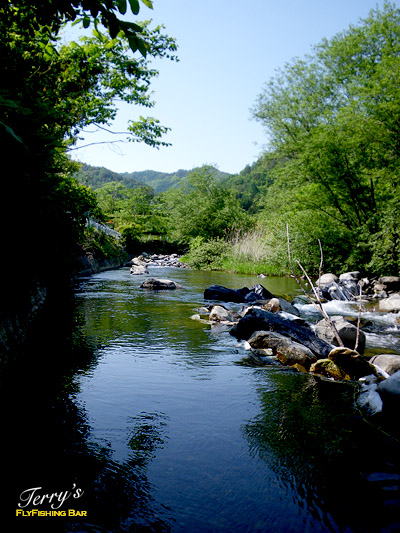 e0009009_22354485.jpg