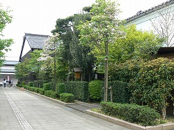 f0006509_151372.jpg