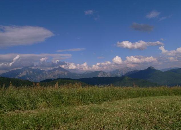 d0104210_4472581.jpg