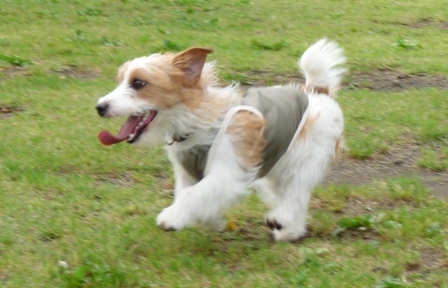 e0078510_17121242.jpg
