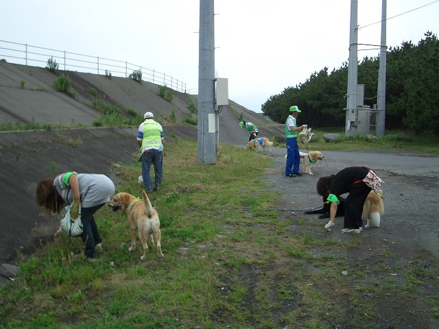 f0141310_23322316.jpg