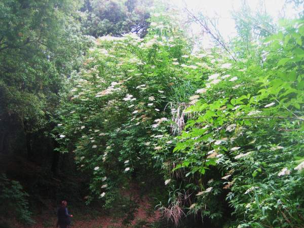 b0064411_21285855.jpg
