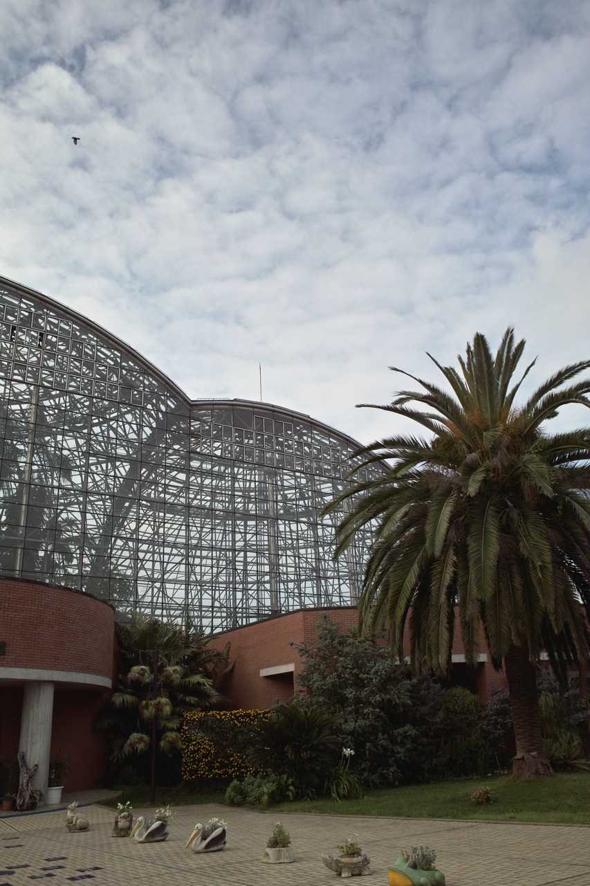 b0137311_2148788.jpg
