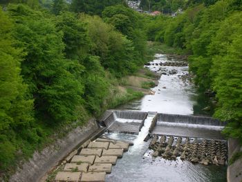 c0162212_11474277.jpg