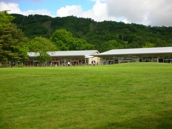 c0162212_1147735.jpg