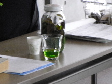 e0046112_20241027.jpg