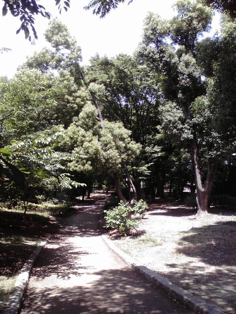 a0067613_1332516.jpg