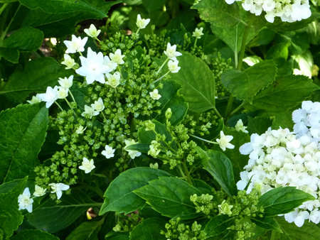 d0113613_12201039.jpg