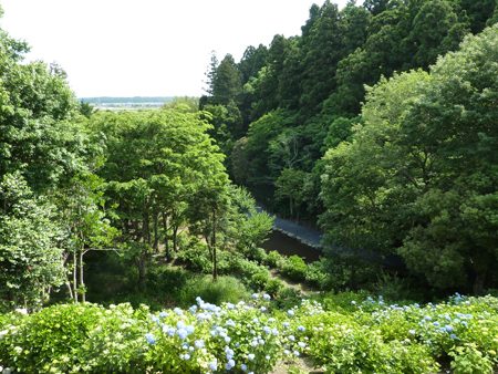 d0113613_12215861.jpg