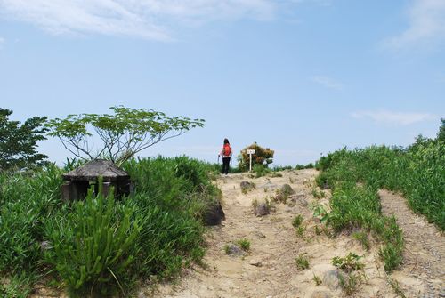 f0183814_9164737.jpg
