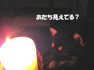 c0185516_23253742.jpg