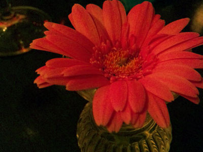f0056516_216453.jpg
