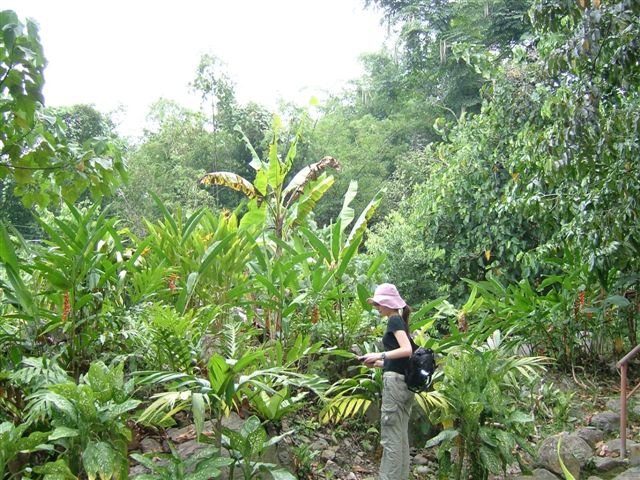 f0013519_15145910.jpg