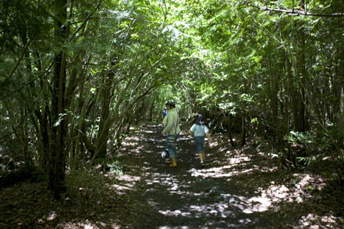 c0018722_16444983.jpg