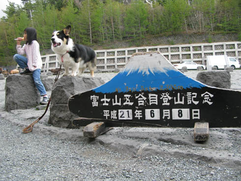 c0018722_1794343.jpg